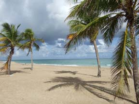 The beach at San Juan, Puerto Rico [Photo by Tom Ineck]
